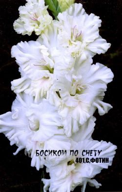 Босиком по снегу